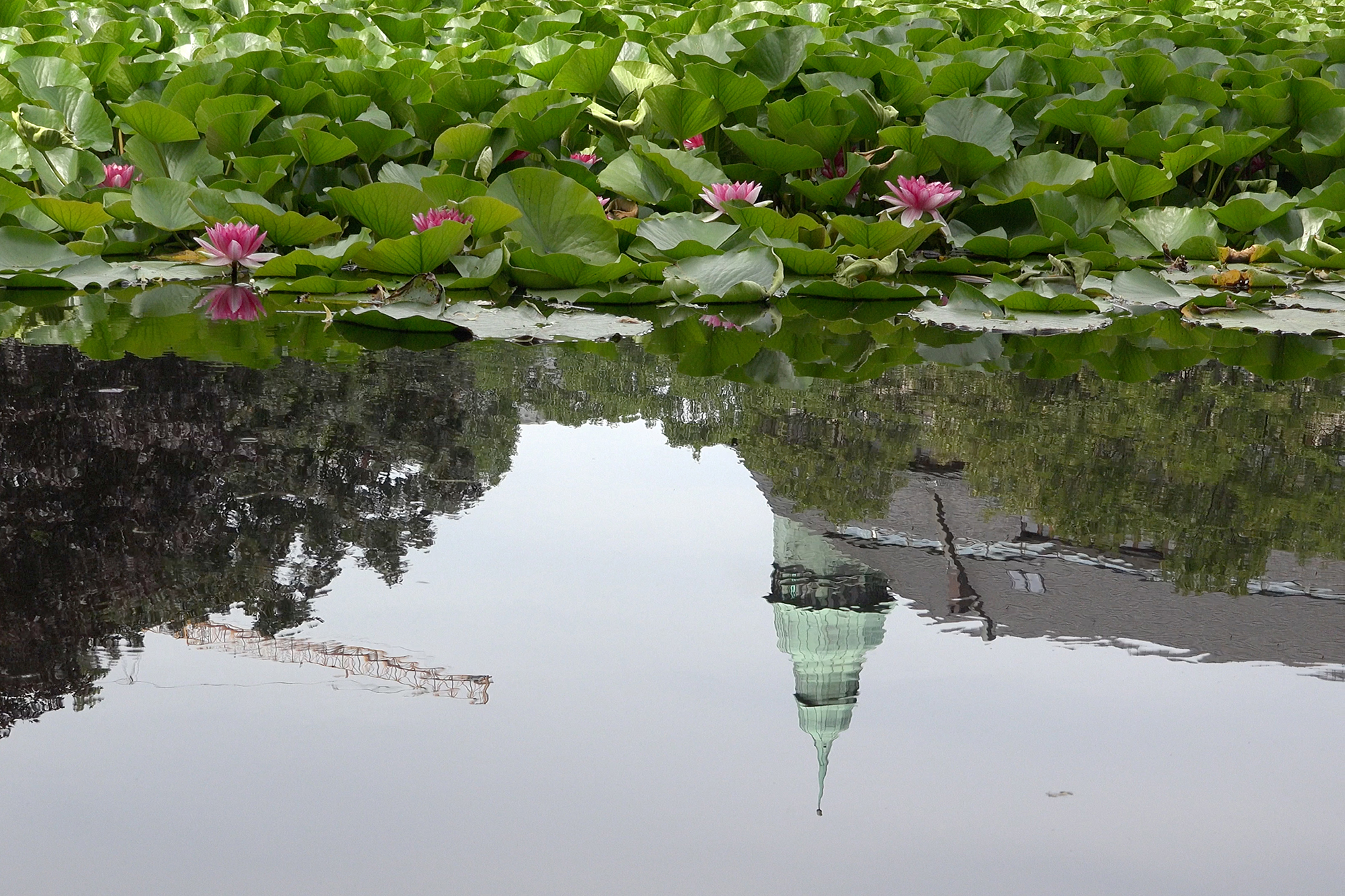 Christoph Radke, Berlin, Weinbergspark, 2016